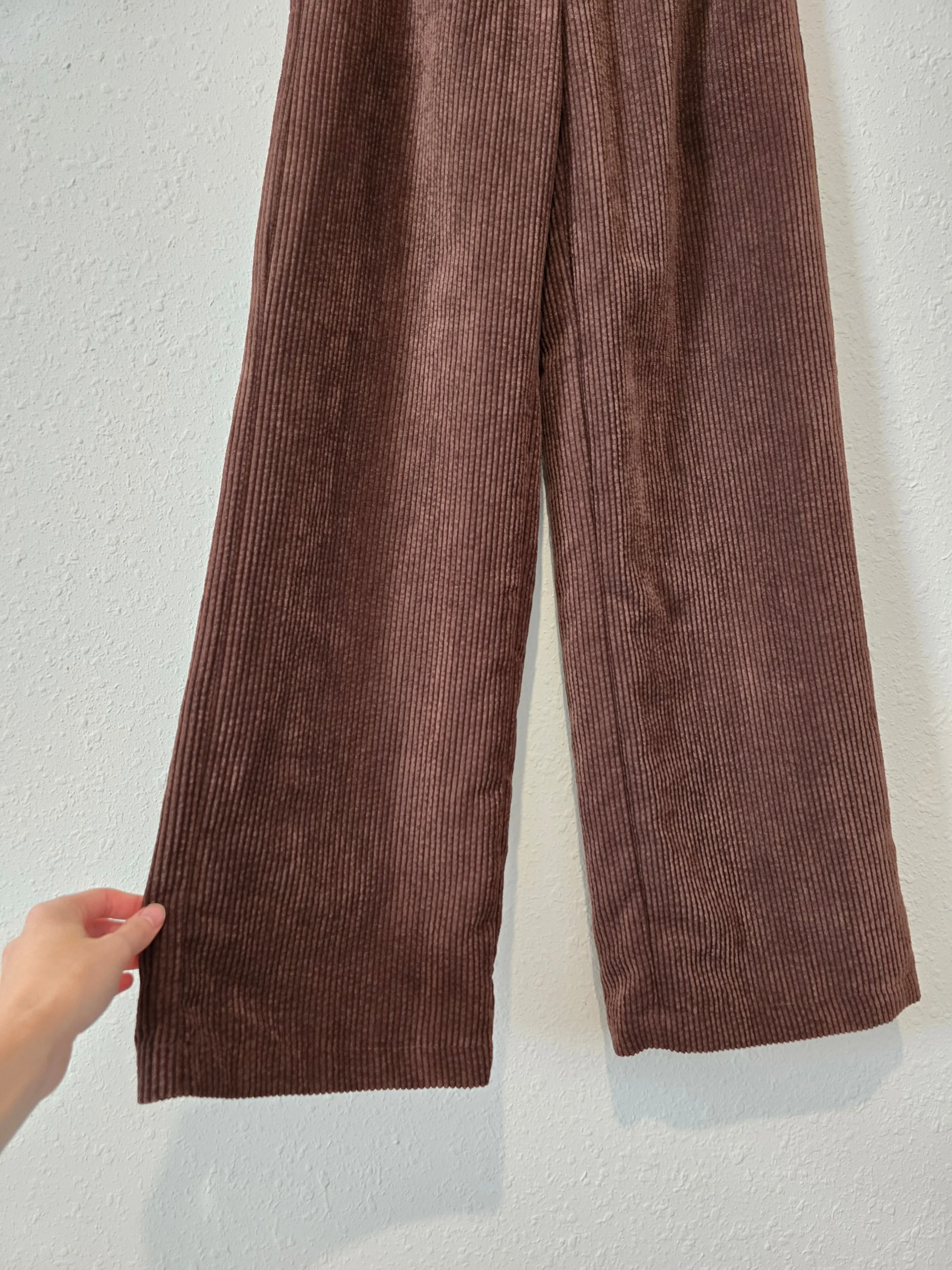 BDG Brown Cord Wide Leg Pants (XS)