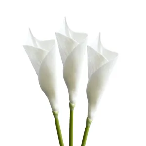 WHITE CALLA LILY STEM-SET OF 3